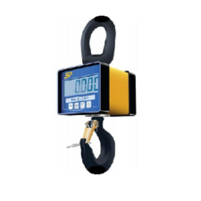 Mini Crane Scale